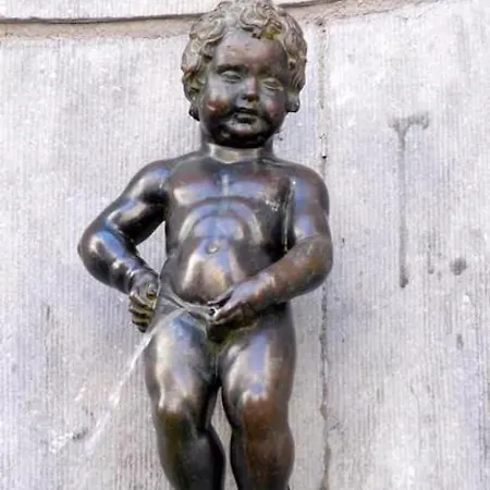 Apartment Cerisier 1a Centre-gare-aeroport *